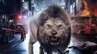 狂暴凶狮,丛林霸主的力量与传奇