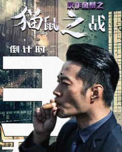 反诈风暴之猫鼠之战